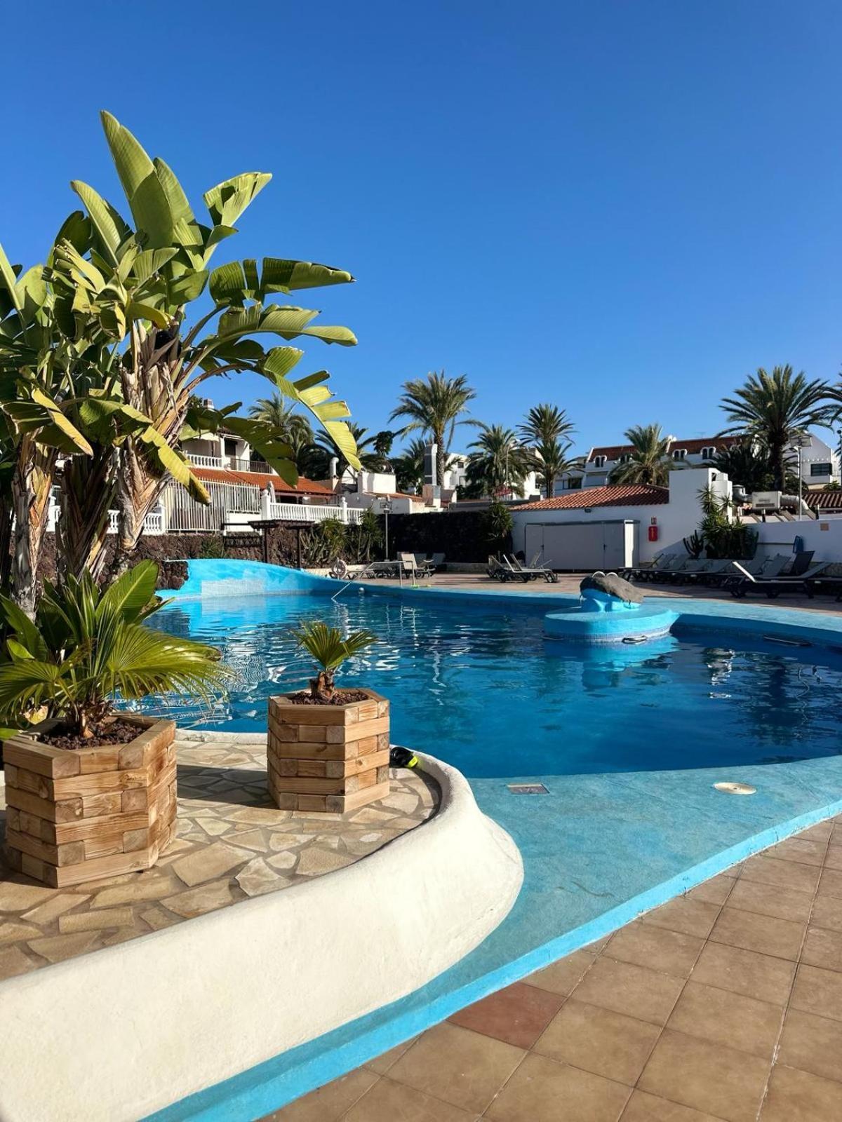 Sunny Sea View Apartment Center Of Las Americas Πλάγια ντε λας Αμέρικας Εξωτερικό φωτογραφία